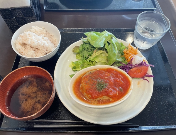 オーガニックランチ